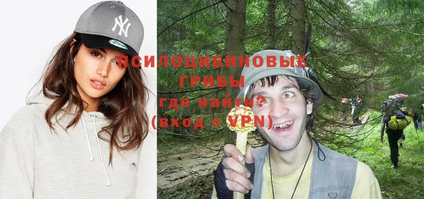 ешки Арсеньев