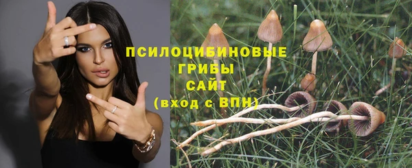 бошки Осинники