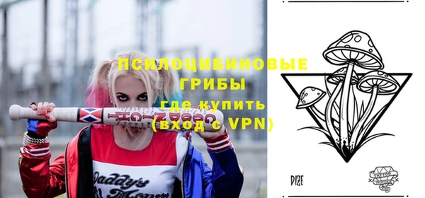 гашик Армянск